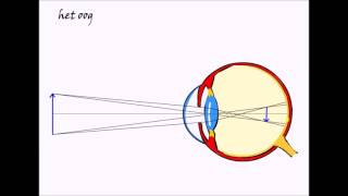 natuurkunde 3e klas Licht 55 het Oog [upl. by Enicul]