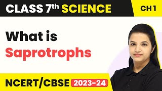 What is Saprotrophs  Nutrition in Plants  Class 7 Science Chapter 1 202223 [upl. by Eicram]