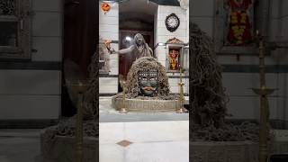 Bhole Teri Bhang Ki Booti shortsfeed short trending bholenath shiv shiva viralvideo video [upl. by Dnob]