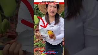 Fake mango china 😱new viral gadgets Smart Appliances Kitchen Utensils Home Inventions shorts [upl. by Nauqat]