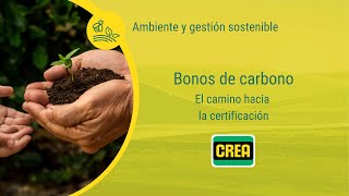 Bonos de carbono  El camino hacia la certificación [upl. by Butch]