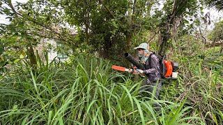 Garden Care Late Grandmother Girl want Clean Transform cut overgrown grass Growing vegetables ASMR [upl. by Welby134]