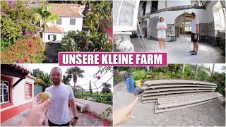 Unsere Farm 🌺 Raumaufteilung planen amp Guave ernten  Isabeau [upl. by Elleiram]