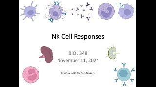 Immunology Fall 2024 Lecture 30 NK Cell Responses [upl. by Malti]