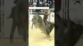 A lenda Touro Bandido 🐂viralvideo viralshort trending touro rodeio trendingshorts cowboy [upl. by Jojo]