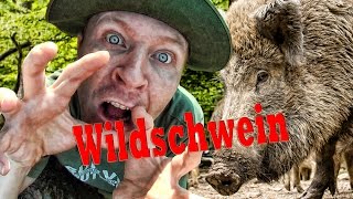 WARNUNG Wildschwein [upl. by Osber]