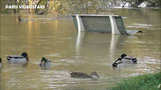 Crue de la Marne le 11 octobre 2024 après les inondations dues à la tempête Kirk [upl. by Midis]