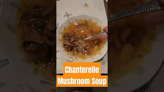 Chanterelle Mushroom Soup Is Yummy [upl. by Thaddaus]