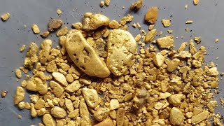 GOLD RUSH TRADITIONAL GOLD PANNING GOLD MINING GOLD DISCOVERY [upl. by Estel]