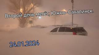 Метель Утро 240124 ЮжноСахалинск [upl. by Afrika]