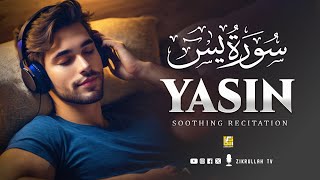 Surah Yasin Yaseen سورة يس  Relaxing Heart touching recitation  Best VOICE  Zikrullah Tv [upl. by Pish71]