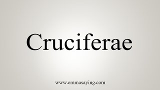 How To Say Cruciferae [upl. by Yenittirb862]