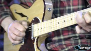 Fender American Deluxe Telecaster Thinline [upl. by Doowron249]