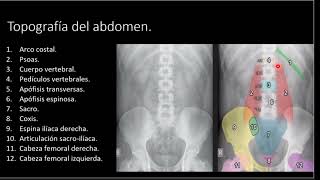 Radiologia básica de la radiografia del abdomen simple hepatomegalia cirrosis [upl. by Daggett]