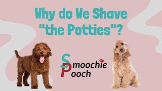 Why do we shave quotthe pottiesquot [upl. by Ellohcin]