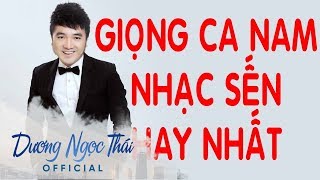 Dương Ngọc Thái  Tuyển Tập Những Ca Khúc Bolero Hay Nhất Của Dương Ngọc Thái [upl. by Reynolds]