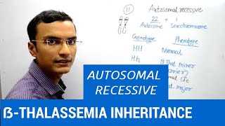 Inheritance of Beta Thalassemia  Autosomal recessive trait [upl. by Oicneconi100]