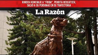 Rinden homenaje a “Frida” perrita rescatista salvó a 55 personas en su trayectoria [upl. by Gautious405]