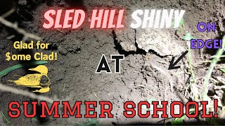 Sled Hill Shiny at Summer School [upl. by Aernda]