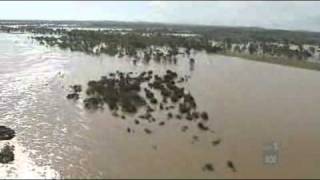 Worst of Rockhampton flooding yet to come [upl. by Leinto878]