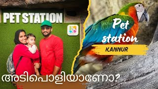 A Family Adventure Exploring Pet Station Kannur  കണ്ണൂർ പെറ്റസ്‌റ്റേഷൻ അടിപൊളിയാണോ [upl. by Asiil589]