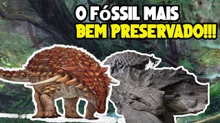 O misterioso DINOSSAURO MUMIA o dinossauro mais bem preservado da história  Nodossauros [upl. by Macfadyn]