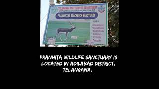 Pranhita Wildlife Sanctuary [upl. by Gilliette]