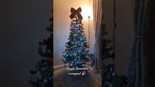 PUTTING UP THE CHRISTMAS TREE 🎄 christmas christmastree feelingfestive christmasdecor cosyvibe [upl. by Onstad]