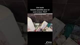 Infestation du logement par plus dun million de cafards short [upl. by Mita]