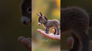 Beautiful little animals beautiful nature videos cute naat shorts [upl. by Eiresed]