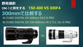 野鳥撮影 ED 300F4 VS ED 150400mm F45 ３００ｍｍ比較 [upl. by Esela516]