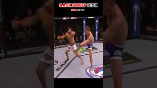 Back sweep kick martialarts mma ufc [upl. by Lynden847]