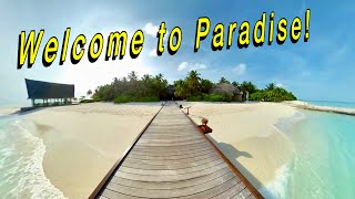 Welcome to Paradise Angsana Velavaru Maldives [upl. by Deehan977]