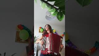 OKTOBERFEST 2024 music accordion clarinetpolka finnpolka levanpolka octoberfest folkdance [upl. by Aniehs]