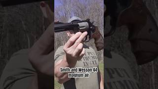 44 Magnum Rat Shot Vs Zombie Kentucky Ballistics [upl. by Llerdnad]