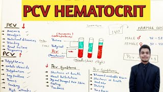 PCV blood test  packed cell volume  hematocit blood test [upl. by Fanning]