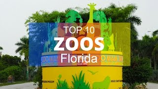 Top 10 Best Zoos in Florida [upl. by Atihana]