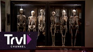 Philadelphias Mutter Museum  Travel Channel [upl. by Deraj803]