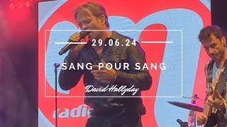 David Hallyday  Sang pour sang l 29062024 Bron [upl. by Atnahsal929]