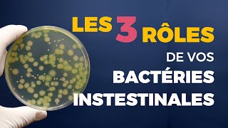 Les 3 Rôles des Bactéries Intestinales  Sylvère CARON [upl. by Alleyne]