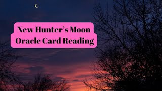 Hunters Moon Oracle Reading 2024 Reveals Your NEW Path [upl. by Narra628]