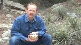 Segmented Patterns with Curt Theobald woodturning DVD preview [upl. by Hedvige]