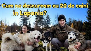 Viata la Tara printre Caini Husky in Nordul Suediei [upl. by Loss237]