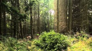 Forest Industry Safety Accord FISA video [upl. by Aivan]