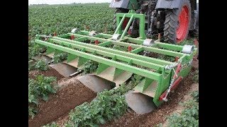 Baselier  GKB  Potato Crop Cultivation  ChemicalFree  Mechanical  Weed Control [upl. by Ettessil]