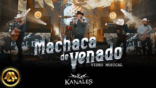 Kanales  Machaca de Venado Video Oficial [upl. by Pantheas955]