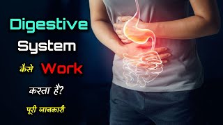 How Digestive System Works  Working of Digestive System  in UrduHindi [upl. by Orrin56]