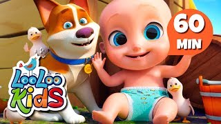 Animal Sounds  S2EP42 Musical Adventure Collection  LooLoo Kids Songs for Kids [upl. by Ogdon]