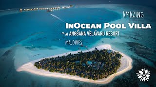 Angsana Velavaru Maldives InOcean Pool Villa  Room Tour [upl. by Ellard909]