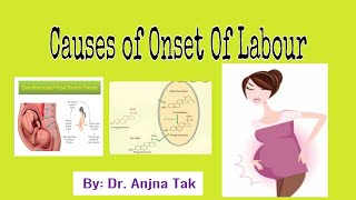 Causes of Onset of Labour By Dr Anjna Tak [upl. by Aramenta507]